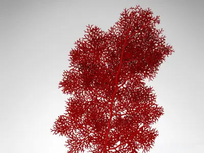 XfrogPlants Giant Sea Fan 3D model