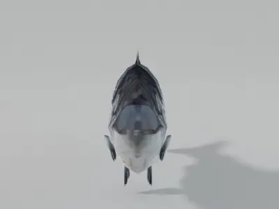 Salmon Fish Low-poly 3D model