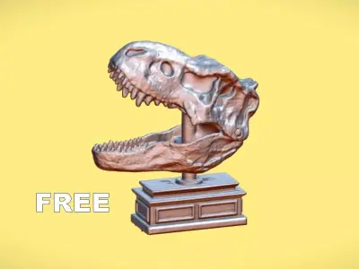 T-REX SKULL TOY - 3D SCAN Free 3D model