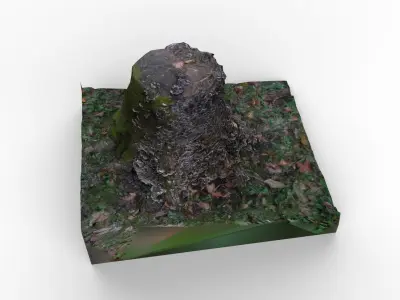 Tree trunk covered in mushrooms Free low-poly 3D model