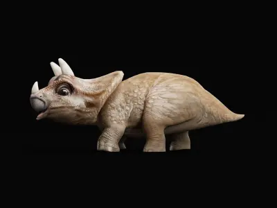 Triceratops Baby Reptile Dinosaur Low-poly 3D model