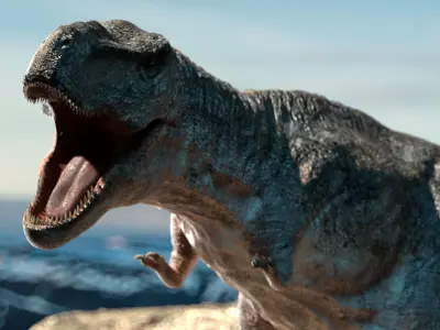 Tyrannosaurus Rex Rigged Animation Low-poly 3D model