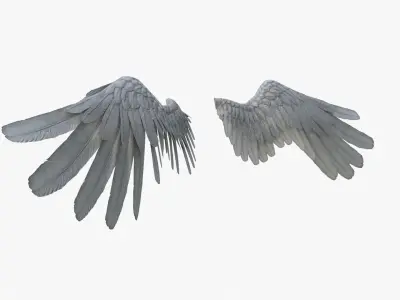 wings - Alas de Angel - Low poly Low-poly 3D model