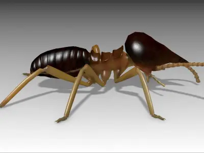 Nasute Termite Low-poly 3D model