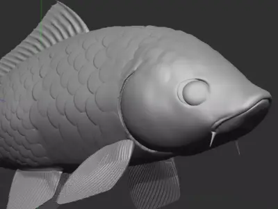 China carp 3D model