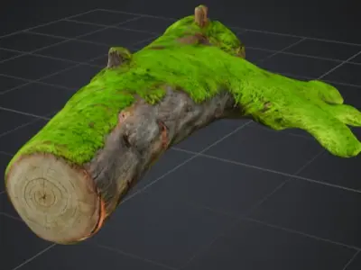 Moss-Covered Fallen Log 3D Model 3D model