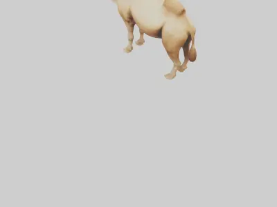 Camel Humps Model Low-poly 3D model