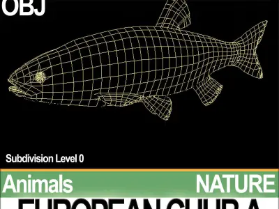 European Chub A 3D model