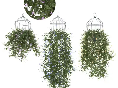 Plant flower in bird cage 3 set 3D model