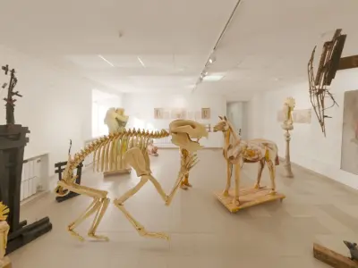 Realistic Mammals Fossil - Thylacoleo Low-poly 3D model