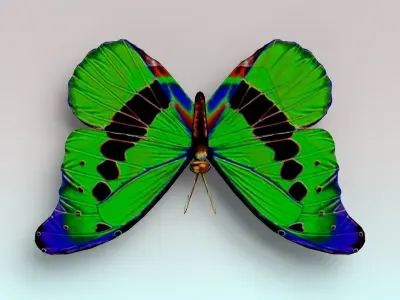 Butterfly with wings Low-poly 3D model