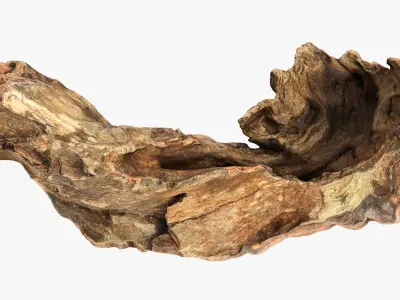Tree Trunk Piece 12 3D model