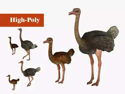 adult ostrich and ostrich chick  rig  high-poly  textured  3D model