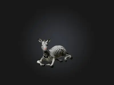Realistic Hurt Zebra Model Low-poly 3D model