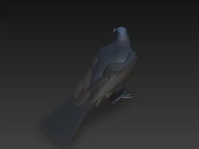 Crow Black Realistic 3D Model Basic - Low Poly Realistic Low-poly 3D model