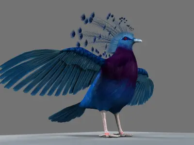 Victoria Crowned Pigeon 3D model