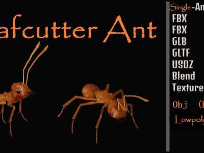 Leafcutter Ant Insect Low-poly 3D model