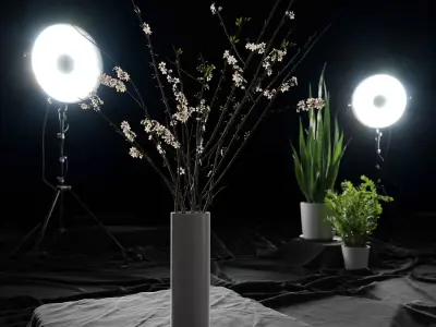  Flowering Twigs Vase Model 