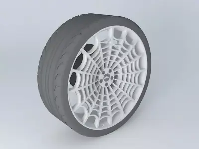 Condor Spider Web WD-002 Free 3D model