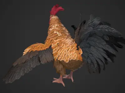 Chicken Rooster Low-poly 3D model