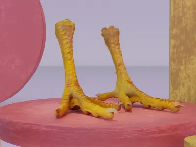 Pair chicken feet high-poly 3D model