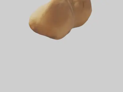 Camel Humps Low-poly 3D model