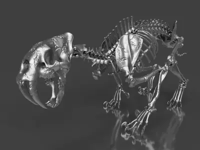 Silver Sabretooth Skeleton for Visualization and Display 3D model