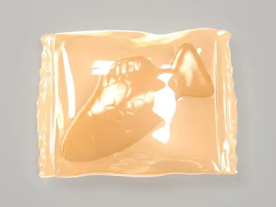 Wrapped Orange Fish 3D 3D model