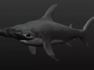 Hammerhead Shark Free 3D model