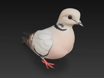 Dove Realistic 3D Model Basic - Low Poly Realistic Low-poly 3D model