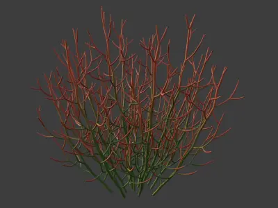XfrogPlants Sticks on Fire - Euphoriba Tirucalli 3D model