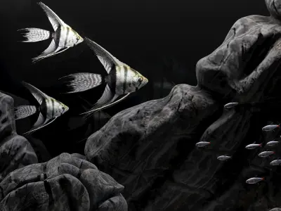 Aquarium box 3D model