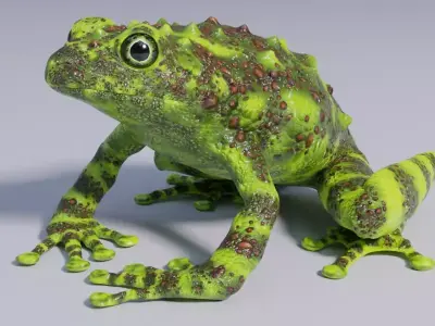 Vietnamese Mossy Frog Rigged Free low-poly 3D model