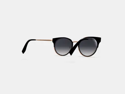 Cleo Sunglasses in Jet Black with Rose Gold 3D model