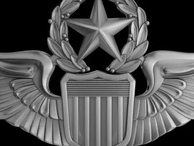 USAAF Command Pilot Wings Badge 3D model