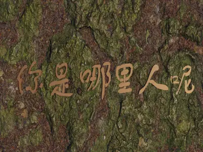 Chinese text for teaching language tutorial  Low-poly 3D model