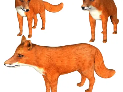 Red Fox Low-poly 3D model