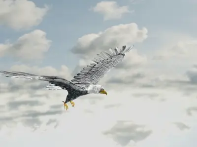 Eagle Model Game Ready flying in sky Low-poly 3D model