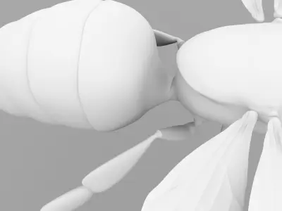 Realistic Bee 3D model