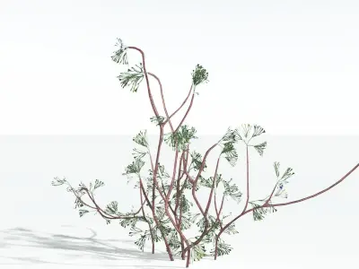 EVERYPlant Baiera LowPoly 2 --14 Models-- Low-poly 3D model