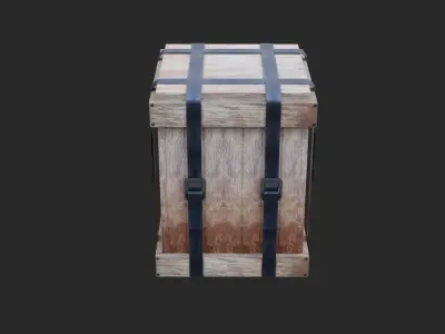Survival Box 3D model