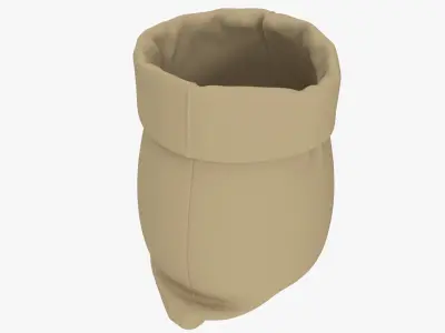Sack v11 3D model