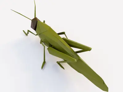 Grasshopper low poly 3d model origami Low-poly 3D model