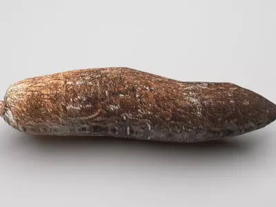 Cassava Manioc 3D model