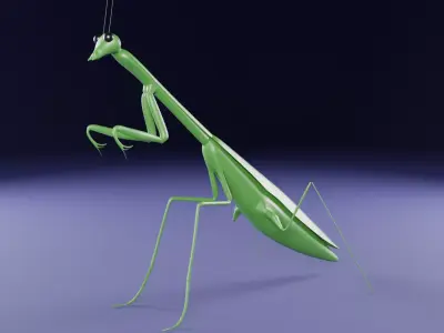 Mantis low poly 3D model for 3D print Low-poly 3D model