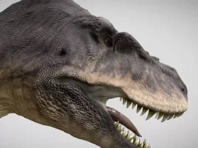 The Ultimate Tarbosaurus bataar Low-poly 3D model