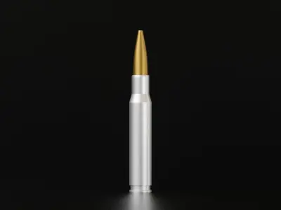 5 Bullet Collection silver 3D model