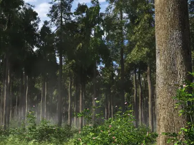 2020 XfrogPlants Shrubs Library  3D model