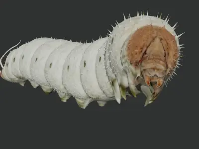 Silkworm fully rigged 3D model