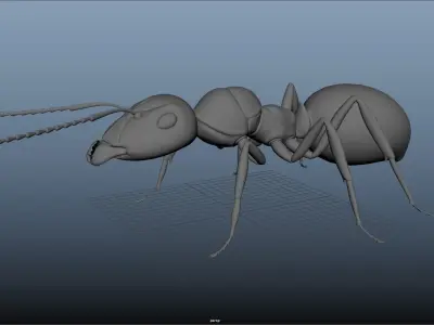 Realistic ant 3D Model Low-poly 3D model